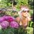 Erika Faure-Goda's profile image