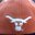 Nate Fenech's profile image