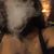 Tiera Ross's profile image