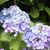 Barbara Miller's profile image