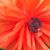 Christine Burtle's profile image
