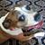 Janet Antoine's profile image