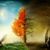 Roy Laroche's profile image