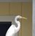 Carola A Wittig-Bock's profile image