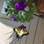 Mary Theriault's profile image
