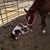 Lynn Mortellaro Allison's profile image
