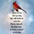 Sharon Marie's profile image