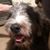Pamela Holden's profile image