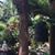 Deb Olken's profile image