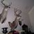 Mark McQuade's profile image