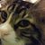 Tammy Janesville's profile image