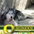 Debbie Anderson's profile image