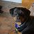 Rita Jackson Duggins's profile image