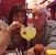 Wendyand Paul Green's profile image
