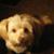 Rochelle G Ramirez's profile image