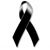 Alonso D Lely's profile image