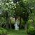 Sharon Gibney Tooker's profile image