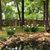 Lila Thomas Cink's profile image