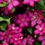 M Carol Hovden's profile image