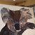 Terri Whitney's profile image