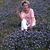 Diana Ackerman's profile image
