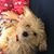 Marilyn Murray's profile image