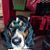 Ellen Howard Coutu's profile image