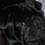 Georgia Reilly's profile image