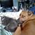 Kendra Sarpolis's profile image