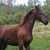 Natalie Pepper Garnett's profile image