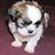 Martine Foucher's profile image