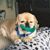 Mary Schnierlein's profile image