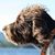 Sherry Briggs's profile image