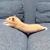 Stephen DeStefano's profile image