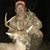 Steve Croom's profile image