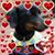 Deborah Podolka's profile image