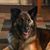 Robyn Miller's profile image