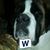 Ralph Wombles's profile image