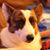 Tony Massey's profile image