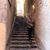 Marie Sandefur-Motherway's profile image