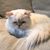 Sandra Hafernick Haines's profile image
