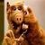 Sandy Voss's profile image