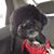 Charlene Neu's profile image