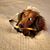 Kelly Ricketts-Brooks's profile image