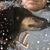 Elaine VanDerveer Warner's profile image