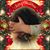 Shannon Kay Portillo's profile image