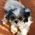 Carm Ruotolo's profile image