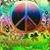 Julie Evans Pringle's profile image