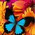 Maria Flores's profile image