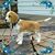 Debbie Sheets's profile image